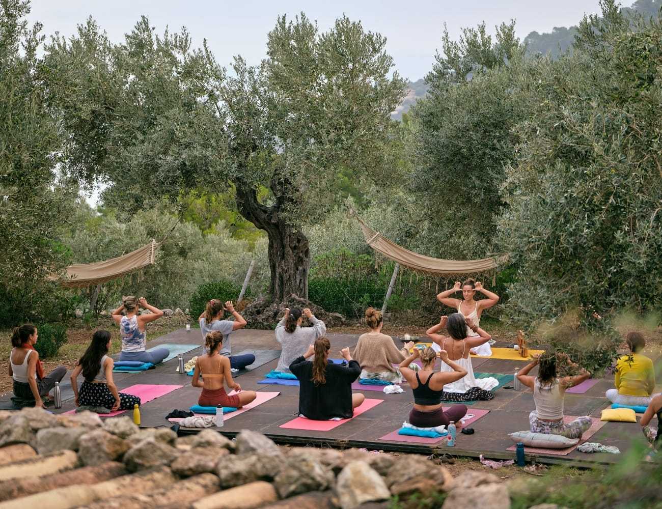 Group practicing outdoor yoga surrounded by olive trees and hammocks.